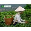 Čajová zahrada Plakát Čajová plantáž v Číně