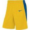 Pánské kraťasy a šortky Nike Mens Team Basketball Stock short 20 nt0201-719