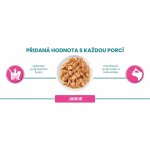 Purina One Junior s lososem a mrkví ve šťávě 4 x 85 g – Sleviste.cz