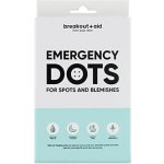 breakout+aid Náplasti na lokální ošetření akné s tea tree 48 ks – Hledejceny.cz