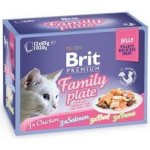 Brit cat Premium D Fillets jelly Family Plate 1 kg – Hledejceny.cz