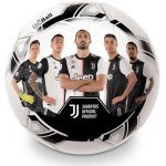Potištěný míč licenční F.C.JUVENTUS 230 mm – Hledejceny.cz
