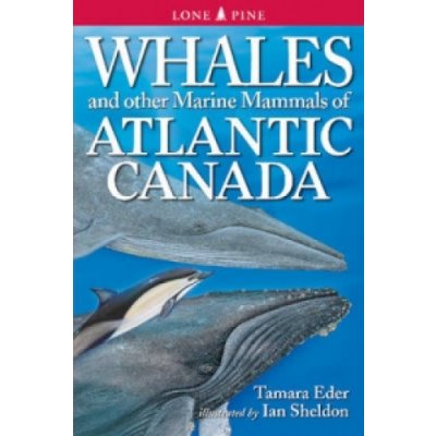 Whales & Other Marine Mammals of Atlantic - T. Eder