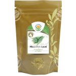 Salvia Paradise Přeslička rolní nať mletá 100 g – Hledejceny.cz