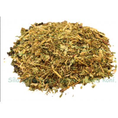 Koňské bylinky Bylinková směs na astma 1 kg – Zboží Dáma