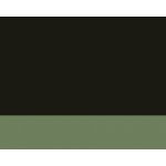 Lefranc olejová barva 40 ml 541 Olive Green – Zboží Dáma