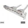 PC kabel Digitus záslepka slotu s 2 USB porty + 2x5pin 0,25m AK-300301-002-E AK-300301-002-E