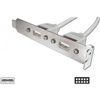 Digitus záslepka slotu s 2 USB porty + 2x5pin 0,25m AK-300301-002-E AK-300301-002-E