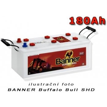 Banner Buffalo Bull SHD PROfessional 12V 180Ah 1000A SHD680 08