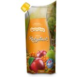 Ovocňák Mošt Jablko rakytník 750 ml – Zboží Dáma