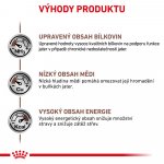 Royal Canin Veterinary Diet Cat Hepatic 2 kg – Hledejceny.cz