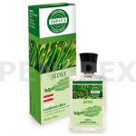 Green idea Jedle bělokorá 100% silice 10 ml – Hledejceny.cz