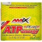 Amix ATP Energy Liquid pomeranč 10 x 25 ml – Hledejceny.cz