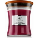 WoodWick Tempest 275 g – Zboží Mobilmania