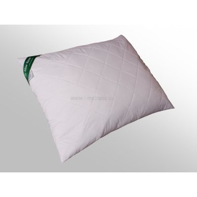 2G polštář Aloe Vera 900g 70x90 – Zboží Dáma