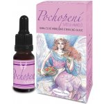 Hanna Maria Andělská aromaterapie POCHOPENÍ 20 ml – Hledejceny.cz