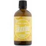 Nordic Shaving Company Citrus & Ginger voda po holení 100 ml – Hledejceny.cz
