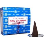 Shrinivas Satya vonné kužely Nag Champa Super Hit 12 ks – Hledejceny.cz