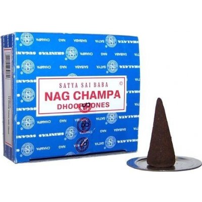 Shrinivas Satya vonné kužely Nag Champa Super Hit 12 ks – Hledejceny.cz
