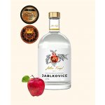 Anton Kaapl Jablkovice 47% 0,5 l (holá láhev) – Zboží Dáma
