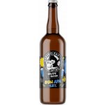 Nachmelená Opice 12 SUN APA 5,2% 0,75 l (sklo) – Zboží Dáma