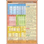 Skloňování v češtině - Kupka Petr a kolektiv – Zboží Dáma