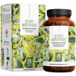 Naturtreu Metabolizmus Komplex zeleného čaje L-karnitinu a cholinu 120 kapslí – Hledejceny.cz