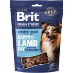 Brit Premium by Nature SM Snacks Lamb 180 g – Zboží Dáma