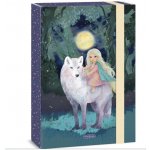 Ars Una box na sešity A4 Northern Lights – Sleviste.cz