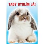 Nálepka 12x8,5 cm králík beran – Hledejceny.cz