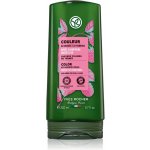 Yves Rocher Couleur kondicionér pro barvené vlasy 200 ml – Zboží Dáma