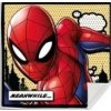 Ručník EUROSWAN Magický ručník Spiderman / Avengers bavlna 30x30 DESIGN: SPIDERMAN