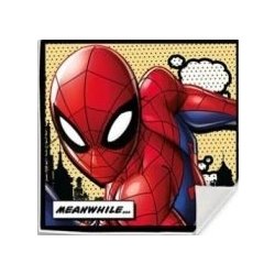 EUROSWAN Magický ručník Spiderman / Avengers bavlna 30x30 DESIGN: SPIDERMAN