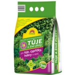 Forestina HNOJIVO NA TÚJE A ŽIVÉ PLOTY 5 kg – Zboží Dáma Forestina HNOJIVO NA TÚJE A ŽIVÉ PLOTY 5 kg – Zboží Dáma