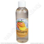 ShishaSyrup Melasa Ledové mango 100 ml – Hledejceny.cz