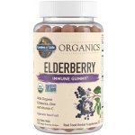 Garden of Life Mykind Elderberry Real Fruit 120 vegan gummy drops – Hledejceny.cz
