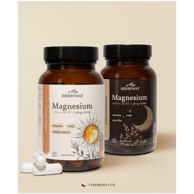 Herbs Energy Magnesium Hořčík Ranní 60 kapslí + Magnesium Hořčík Večerní 60 kapslí – Hledejceny.cz
