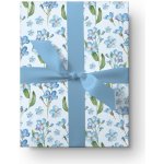 ePiPí Balicí papír - Pomněnky – Zboží Živě