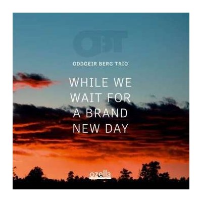 While We Wait for a Brand New Day - Oddgeir Berg Trio CD
