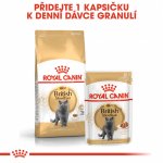 Royal Canin British Shorthair Adult 10 kg – Zboží Dáma