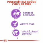 Royal Canin Sterilised 2 x 10 kg – Hledejceny.cz