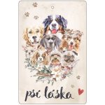 Bohemia Gifts Aromatická vonná karta Psí láska 10,5 x 16 cm – Hledejceny.cz