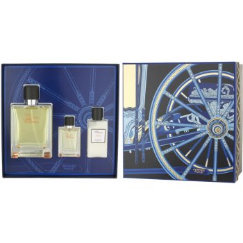 Hermés Terre D'Hermés EDT 100 ml + EDT 12,5 ml + balzám po holení 40 ml dárková sada