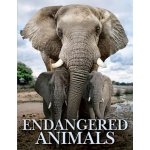 Endangered Animals – Hledejceny.cz