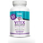 Vitex agnus castus Drmek obecný extrakt 2: 1 500 mg 90 kapslí – Hledejceny.cz