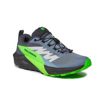 Salomon Sense Ride 5 Gore-TexFlint/Black/Grgeck L47312800