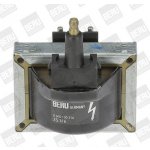 Zapalovací cívka BorgWarner (BERU) ZS316 – Hledejceny.cz