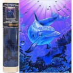 Norimpex Diamantové malování Delfín 30 x 40 cm – Sleviste.cz