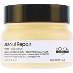 L´Oréal Professionnel Serie Expert Absolut Repair regenerační maska na vlasy 250 ml – Zbozi.Blesk.cz