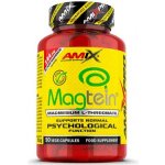 Amix Magtein Magnesium L-Threonate 90 kapslí – Hledejceny.cz